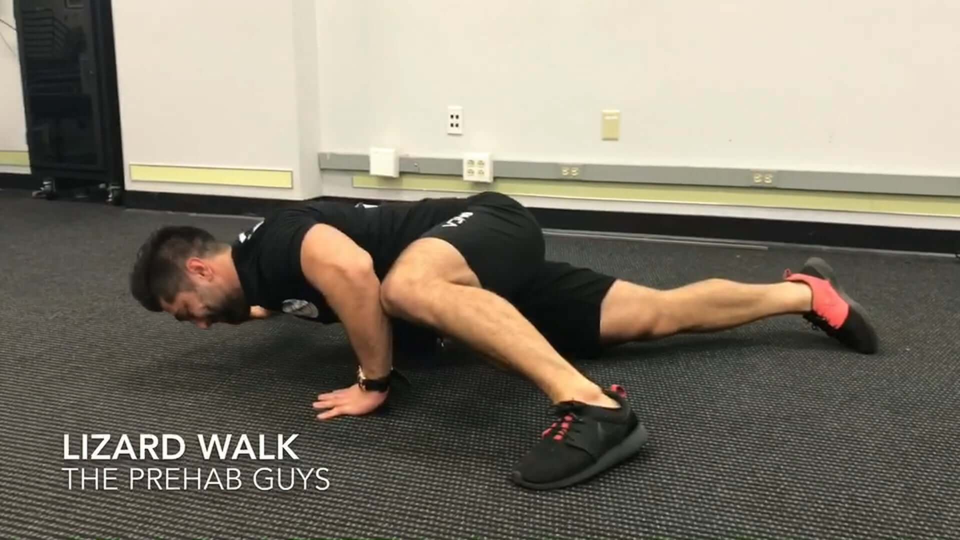 Lizard Walk [𝗣]𝗥𝗲𝗵𝗮𝗯