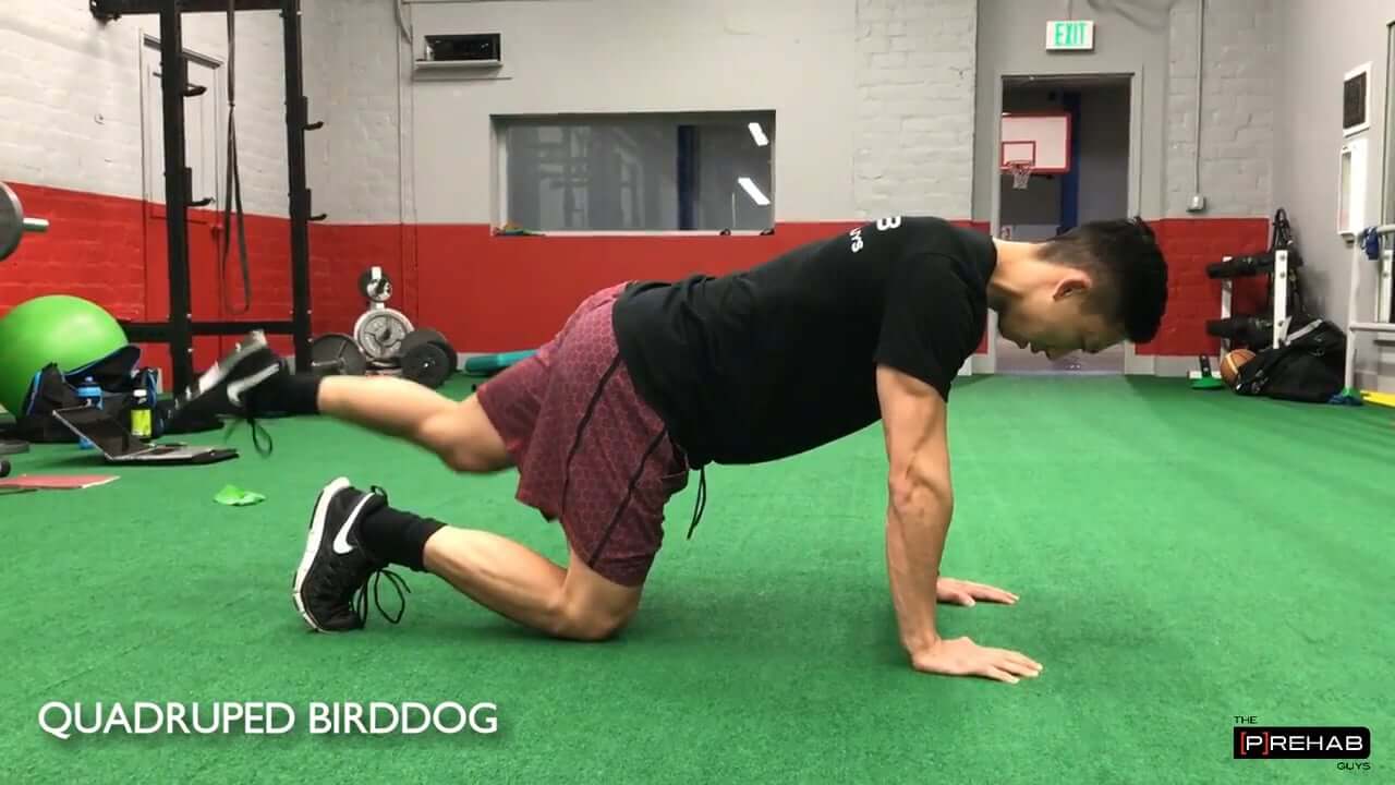 Achilles Tendinopathy Treatment - Vimeo thumbnail