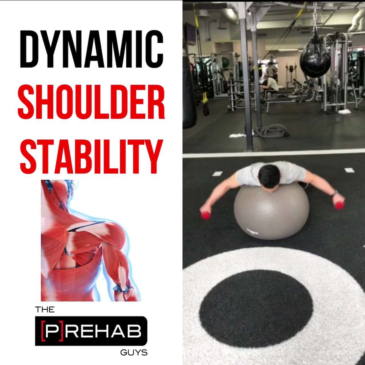 Prone Plyometric Shoulder Stability - [P]rehab