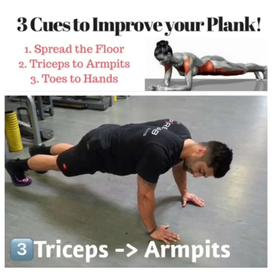 3 Cues to Improve your Plank - [P]rehab