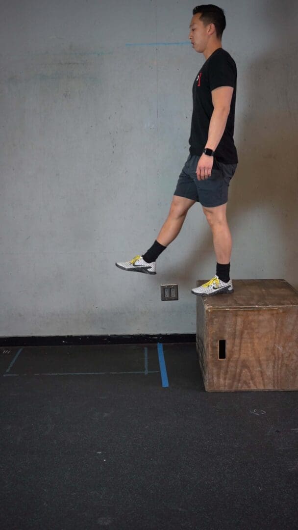 Double Leg Depth Drop Linear Off Box - [𝗣]𝗥𝗲𝗵𝗮𝗯