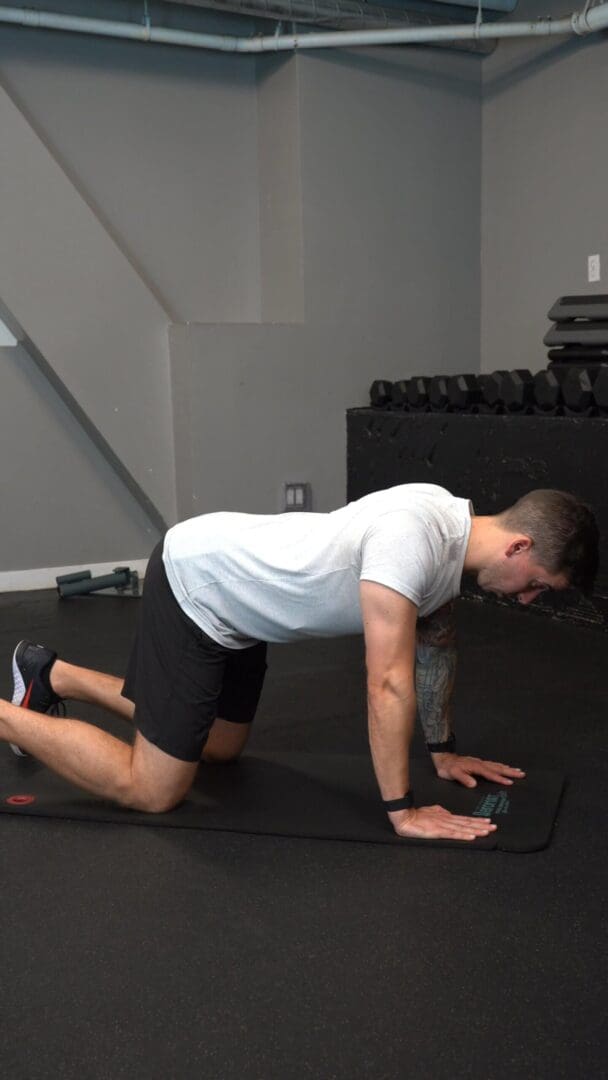 Quadruped Push Up Plus Chin Tuck P rehab