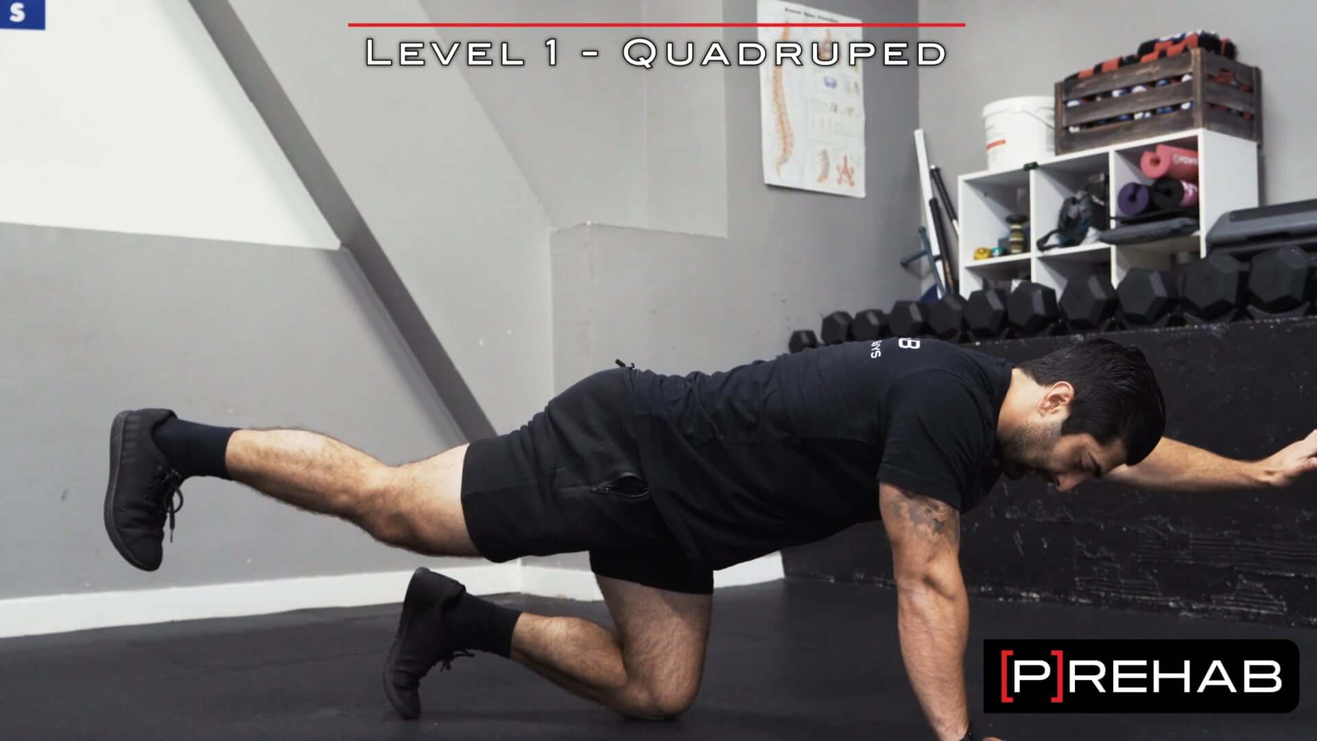 Bulletproof Your Core! [ 3 Core Exercises ] - [P]rehab