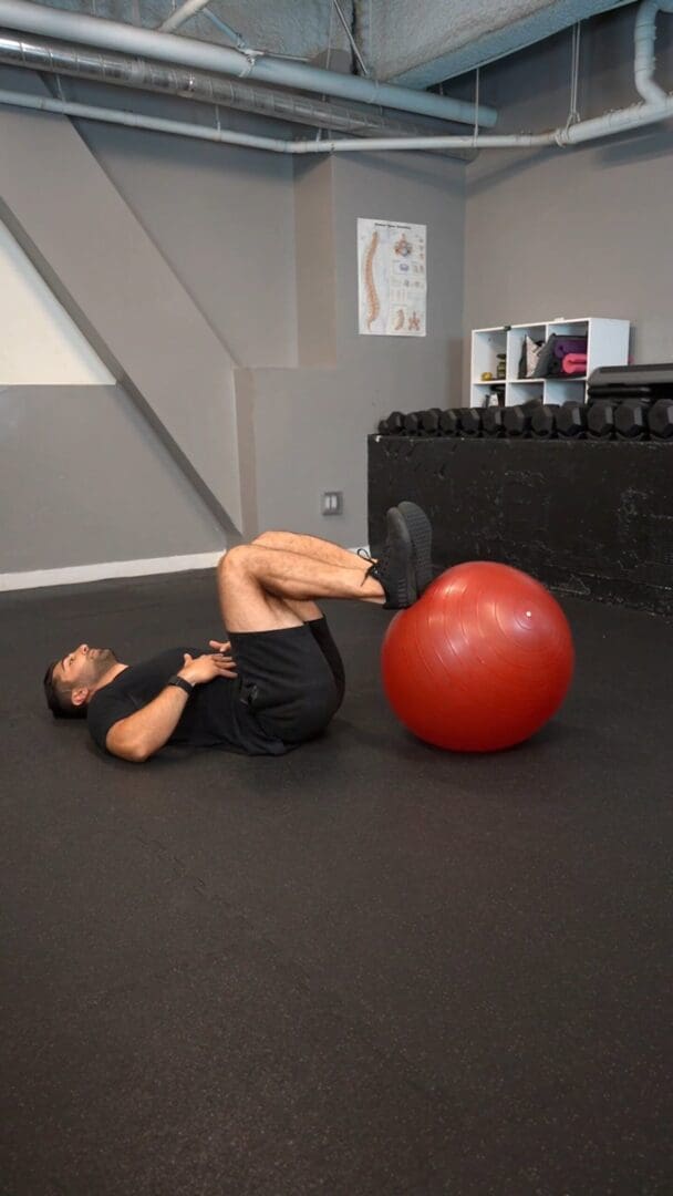 Supine Hip Flexion - Arom , Swissball - [p]rehab