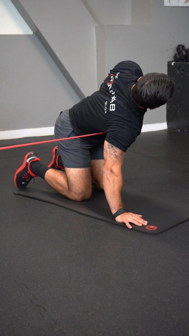 Quadruped Thread The Needle And Open Book Band [P]rehab