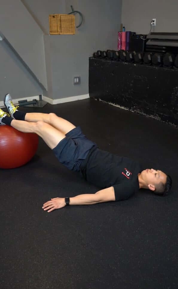 Eccentric Hamstring Curl - Swissball - [P]rehab