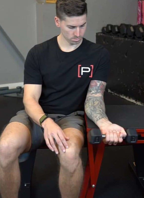 Eccentric Wrist Flexion Elbow Flexed, Dumbbell [P]rehab