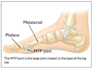 anatomy of the big toe the prehab guys