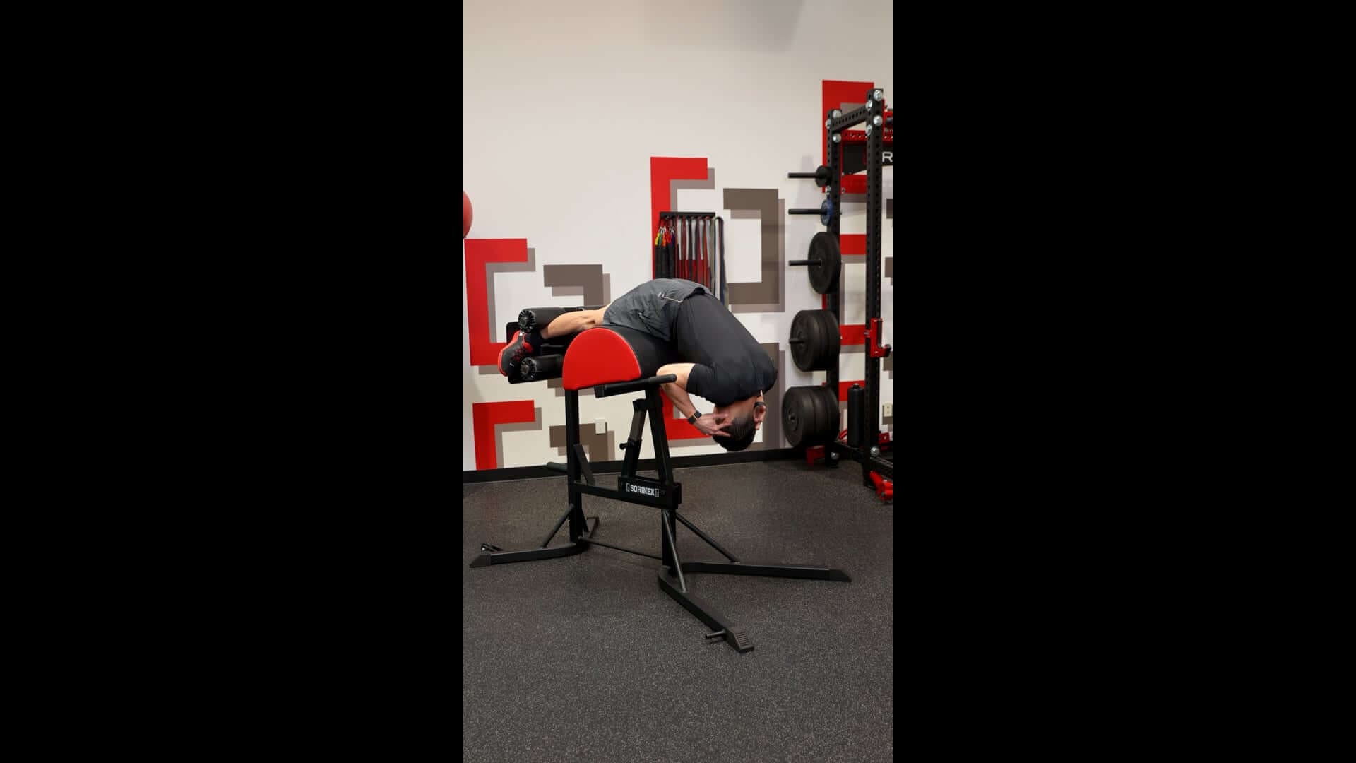Back Extension GHD [P]rehab