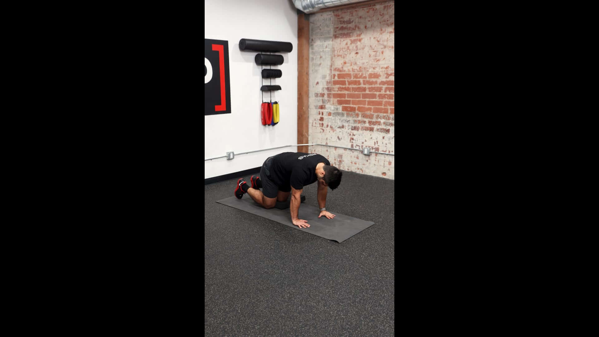 Quadruped Multifidi Lift - [P]rehab